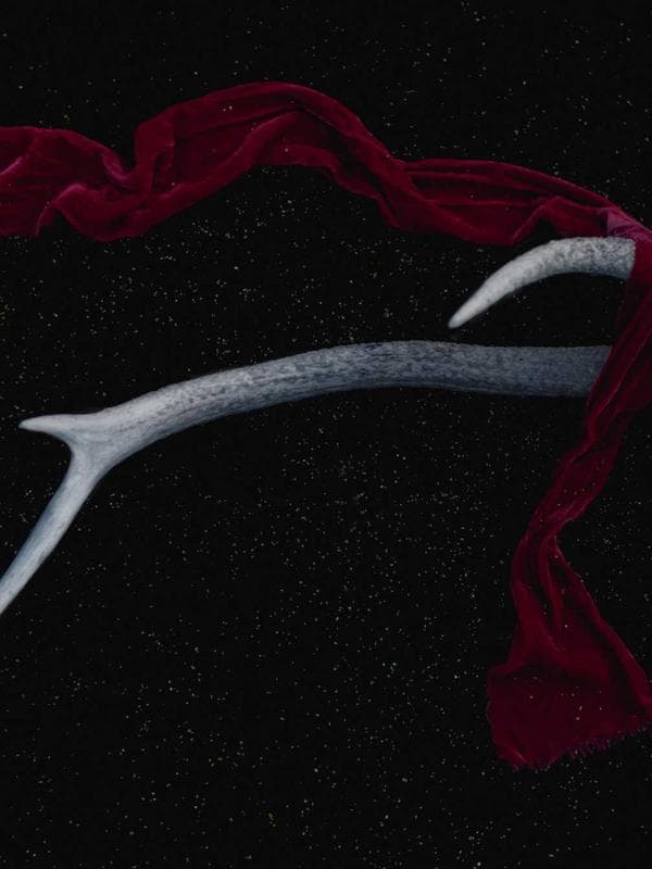luna veil